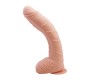 Baile Alex Curved Dildo with Testicles G-Spot Suction Cup Flesh