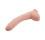 Baile Alex Curved Dildo with Testicles G-Spot Suction Cup Flesh