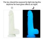 Lovetoy Dildo Lumino Play 8.0