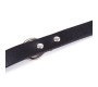 Latetobed Bdsm Line Collar with Bell Adjustable 43 cm Black