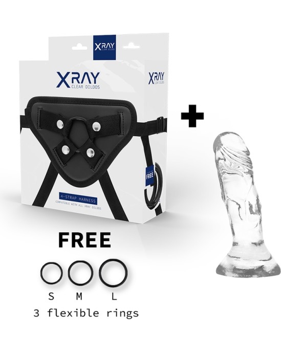 X Ray XRAY HARNESS + CLEAR COCK 12 CM X 2.6CM