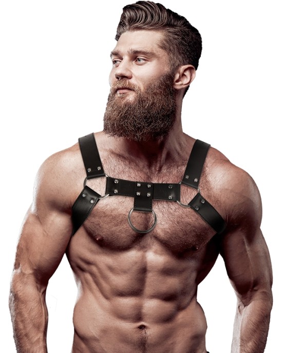 Fetish Submissive Attitude MEN'S ECO-LEATHER CHEST HARNESS