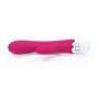 Lovetoy Vibe Dreamer USB Rose Red
