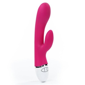 Lovetoy Vibe Dreamer USB Rose Red