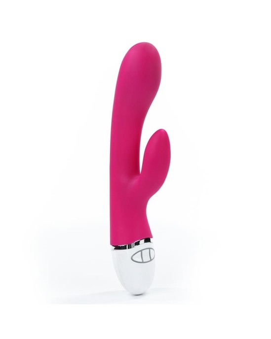 Lovetoy Vibe Dreamer USB Rose Red