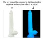 Lovetoy Dildo Lumino Play 10.5