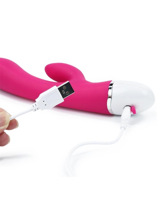 Lovetoy Vibe Dreamer USB Rose Red