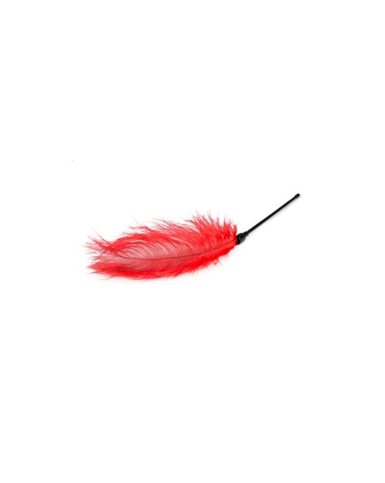 Easytoys Red Feather Tickler