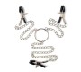 Latetobed Bdsm Line Nipple Clamps and Clit Clamps with Chain Metal