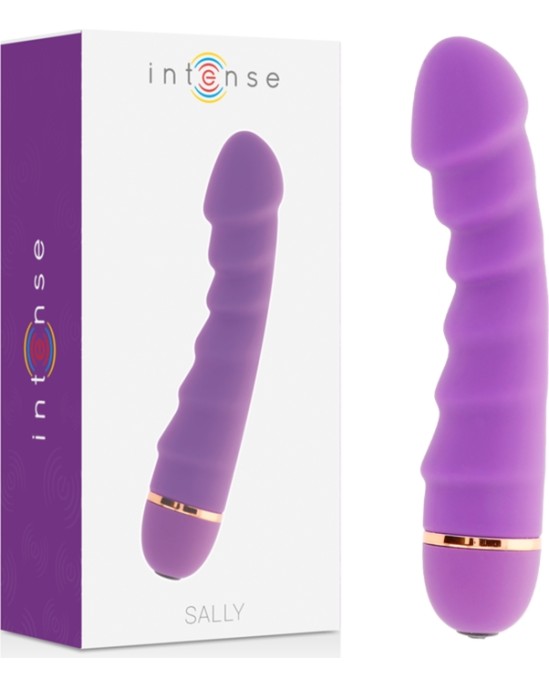 Intense Fun INTENSE SALLY 20 СКОРОСТЕЙ СИЛИКОНОВЫЙ ФИОЛЕТОВЫЙ