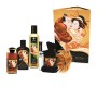 Shunga Kits КОЛЛЕКЦИЯ СЛАДКИХ ПОЦЕЛУЕВ СЮНГА