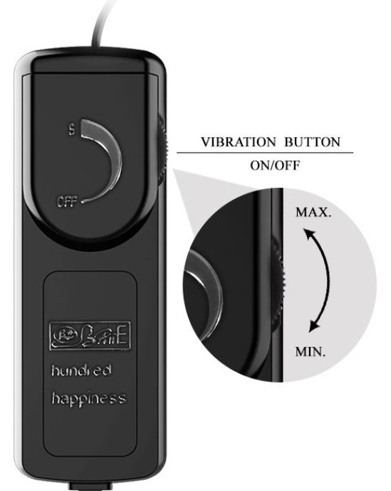 Baile Vibrating Egg with Remote Control