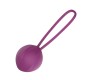 Engily Ross Leigh Kegel Ball Силиконовый Фиолетовый