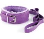 Crushious DUNGEONS & MAIDENS BDSM KIT PURPLE