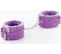 Crushious DUNGEONS & MAIDENS BDSM KIT PURPLE