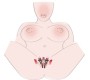 You2Toys Intimate Spreader strong