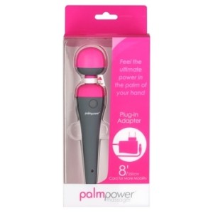 Palmpower Massager