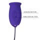 Pretty Love - DAISY YOUTH VIOLET RECHARGEABLE VIBRATOR STIMULATOR