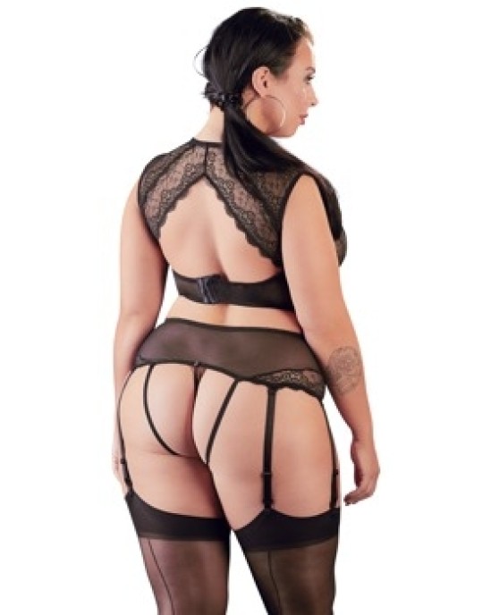 Cottelli Curves Lace Set black L