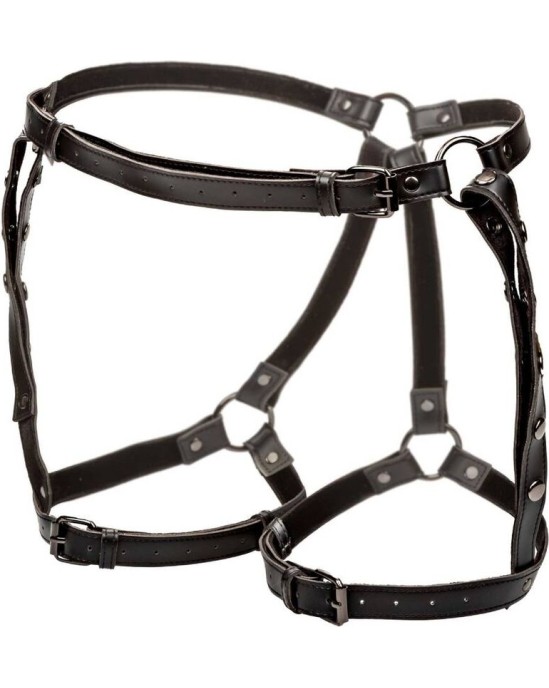 California Exotics EUPHORIA PLUS SIZE RIDING THIGH HARNESS