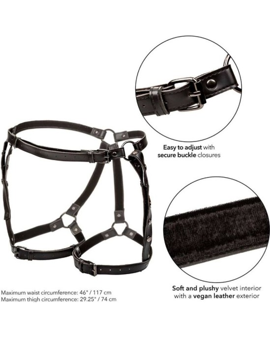 California Exotics EUPHORIA PLUS SIZE RIDING THIGH HARNESS