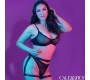 California Exotics РЕМНЯ ДЛЯ БЕДРА EUPHORIA PLUS SIZE