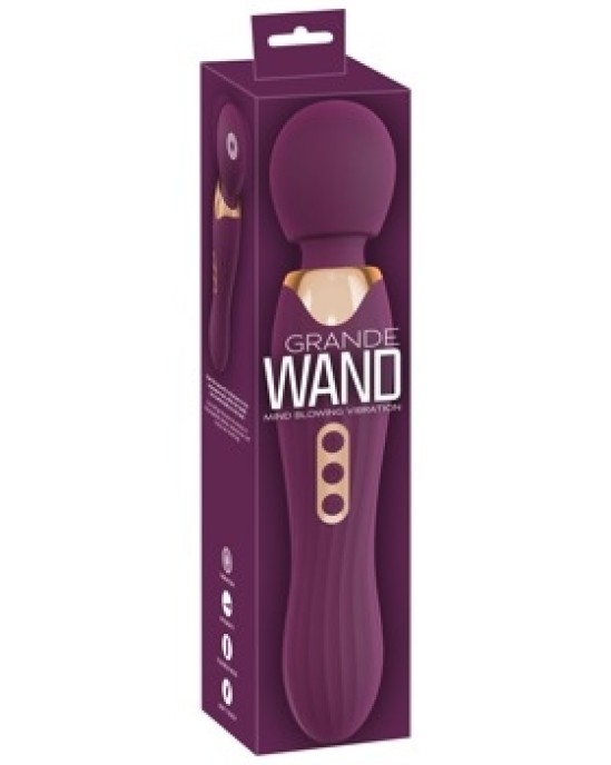 You2Toys Big Wand violets