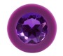 Colorful Joy Jewel Purple Plug