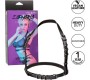 California Exotics EUPHORIA HALTER BUCKLE HARNESS BLACK