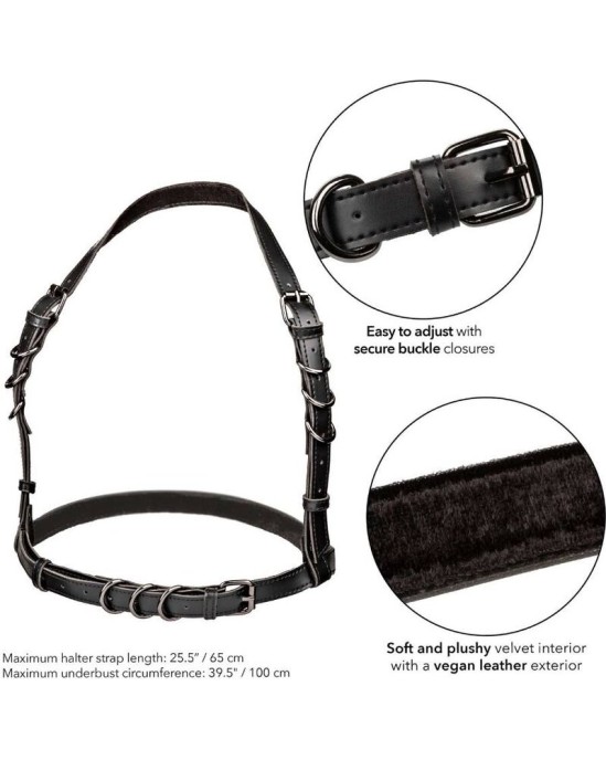 California Exotics EUPHORIA HALTER BUCKLE HARNESS BLACK