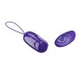 Pretty Love - ARVIN YOUTH VIOLATING EGG REMOTE CONTROL VIOLET