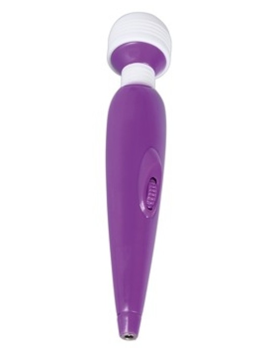 You2Toys Passion Pointer mini