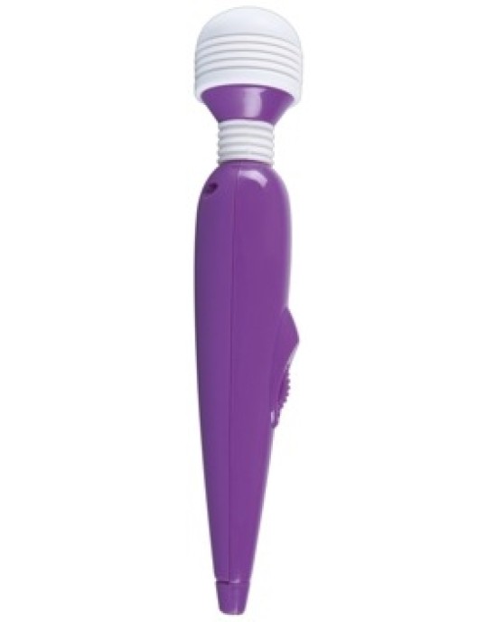 You2Toys Passion Pointer mini