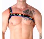 Macho Underwear MACHO - ROMĀŅU ZIKTAS PRIDE S/M