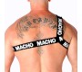 Macho Underwear МАЧО - РИМСКАЯ РЕГУЛЯЦИЯ БЕЛАЯ S/M